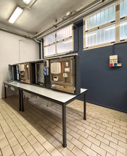 Ave sale a bordo nel progetto Zanardelli Education Academies