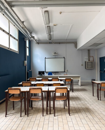 Ave sale a bordo nel progetto Zanardelli Education Academies.