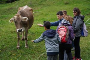 Intelligenza Vegetale - Ponte di Legno 15